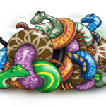 How many snakes? Reptiles magazine